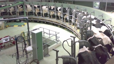 Dairy is one of the industries that could be hit hard