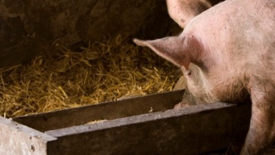 Pig and pork prices have risen in China this year due to tightening supply