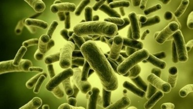Probiotics protection: Yeast wall compound improves survival in food products