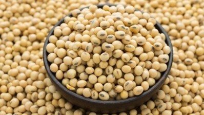 Isolated soy proteins are useful functional ingredients. ©iStock