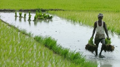 India needs to match its agri-production with export potential