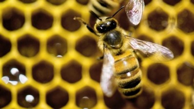 Company fined for sellign honey that does not come from bees