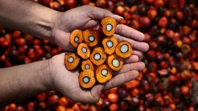 India and China must be part of the green palm oil process