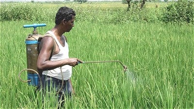Ficci report: One-third of Indian pesticides are dangerous fakes