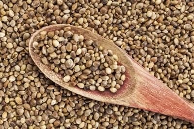 Hemp seeds and teff are growing in superfood popularity in Japan. ©iStock