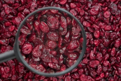 Study supports cranberry + probiotics combination for anti-UTI benefits