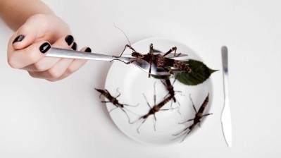 Edible insects: Let’s look at what’s on the menu 