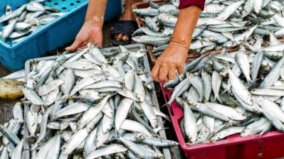 Australia gets unified peak seafood body