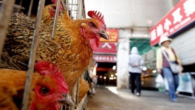 New bird flu strain poses no threat to poultry populations