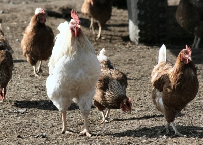 H7N9 outbreak has been linked to poultry wet markets
