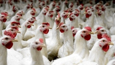‘Poultry for beef’ deal completes after China given US ‘equivalence’