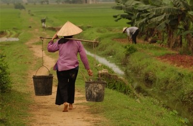Vietnam has been hit by an outbreak of H5N6 avian influenza