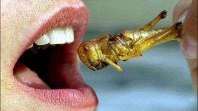 Gorgeous grub: We need to make insect consumption 'sexy' to consumers