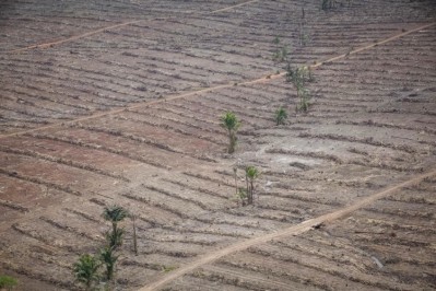 An aerial photo taken December 19, 2017 shows new clearance for palm oil plantation on the secondary dry land forest at concession PT Agrinusa Persada Mulia of GAMA Group in Toray village, Merauke subdistrict, Merauke district, Papua province. Pic: © Jurnasyanto Sukarno/Greenpeace