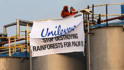 The debate: Palm oil and troubled waters