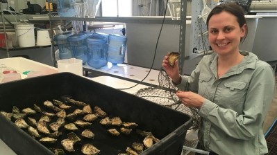 Dr Carmel McDougall of Griffith’s Australian Rivers Institute wants to boost the local oyster industry.