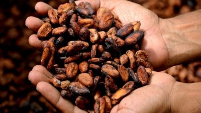 Olam Cocoa is tracing the supply chain of cocoa through digital platform 
