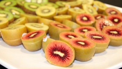 New Zealand kiwifruit firm Zespri has its eye on new markets and consumers with its Zespri Red Kiwifruit variety as well as a range of sustainable innovations. ®Zespri International