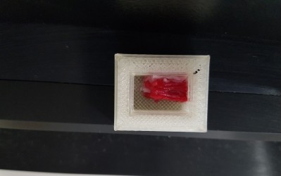 Scientists construct wagyu-like structure using 3D bioprinting technology ©Osaka University