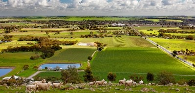 Barossa Valley irrigation project on course to expand