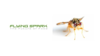 Insect -based foods firm Flying SpArk recently obtained an investment boost from seafood giant Thai Union, with the firm now pressing ahead to ramp-up R&D and production capabilities to enable it to expand across Asia. ©Flying SpArk / Getty Images