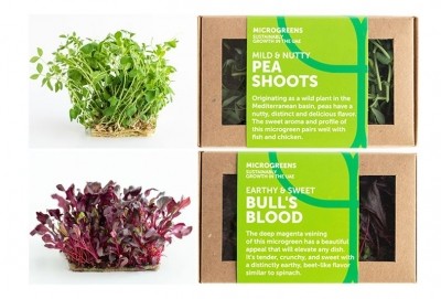 Top to bottom: Pea shoots and bull’s blood among microgreens available online ©Madar Farms