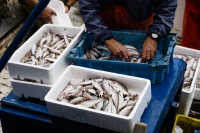 Fish caught from the seas surrounding Turkey have been found to be contaminated with heavy metals such as arsenic, lead and cadmium ©Getty Images