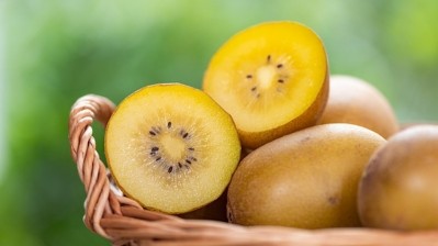New IP protection policies in China could help New Zealand kiwifruit powerhouse Zespri to pursue its fight against individuals growing and selling its golden kiwifruit. ©Getty Images
