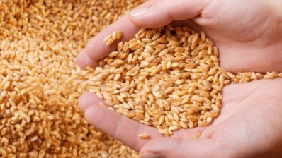 More Saudi consumers are buying healthier food, such as whole grains and organic food, according to Danube, Saudi Arabia’s hypermarket. ©iStock 