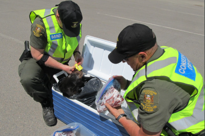 Picture: Interpol. Seizures included a crate of bear carcass and bear meat in Canada