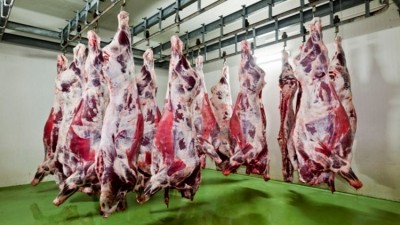Australian cattle slaughtering drops