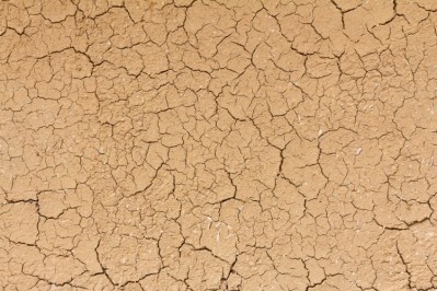 Australian meat industry urges more drought support