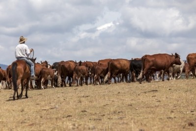 Australian cattle industry demands biosecurity funding