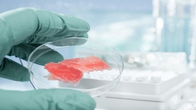 The New Zealand Treasury has assured domestic farmers and processors that there is no immediate threat from lab grown meat