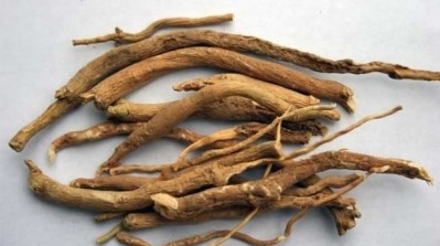 An herb to watch: Ashwagandha science growing consumer recognition and sales