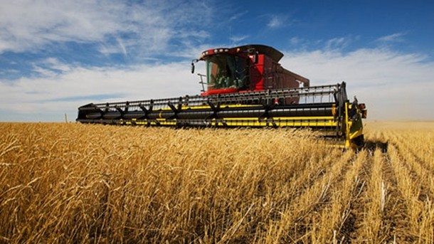 FTAs crucial to Australia’s agribusiness future