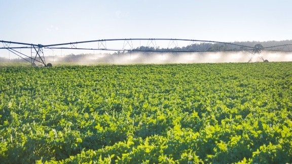 Scientists trial charged-water irrigation system to boost food safety