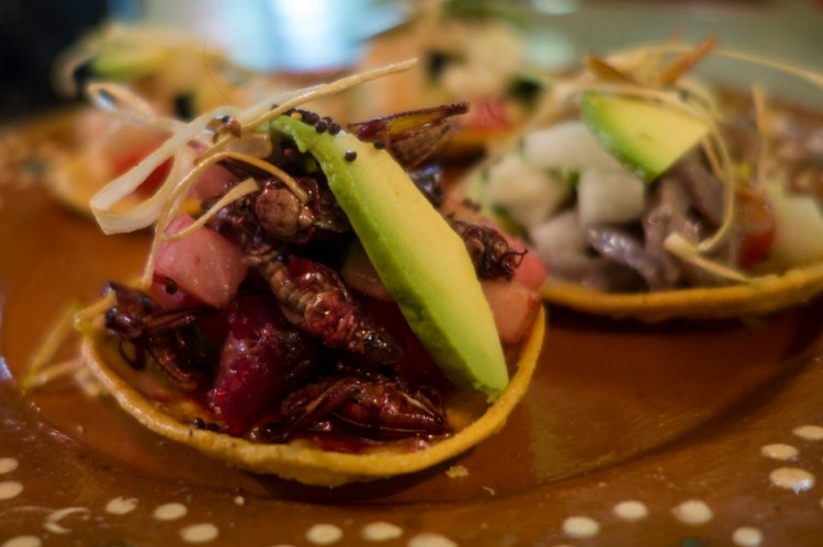 Chapulines tostadas, or toasted crickets, are a Mexican specialty.