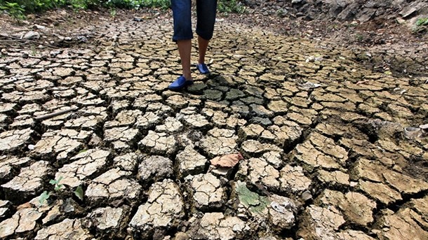 Land in the north of China has become parched after a lengthy drought