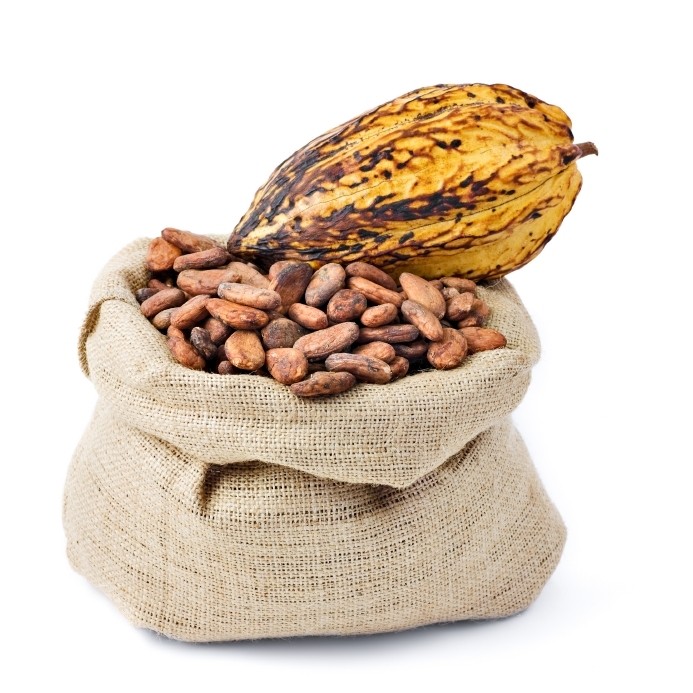JV to tap into the increasing cocoa demand in Indonesia