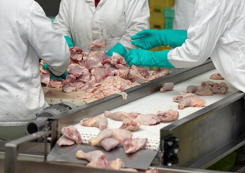 The Quezon plant aims to produce 10,000 metric tons of processed chicken per year