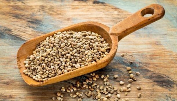 Ministers will decide in April if hemp can be used for human food and nutrition. ©iStock