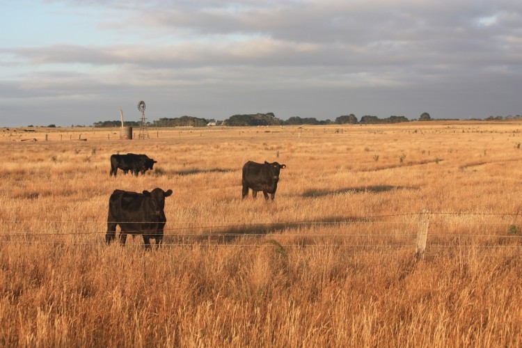 Australian farmers given drought reprieve