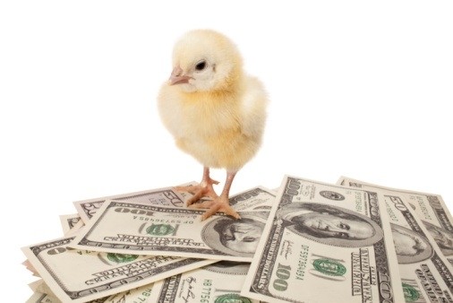 The money will be used to set up farms and grow its quick-service chicken restaurant chain