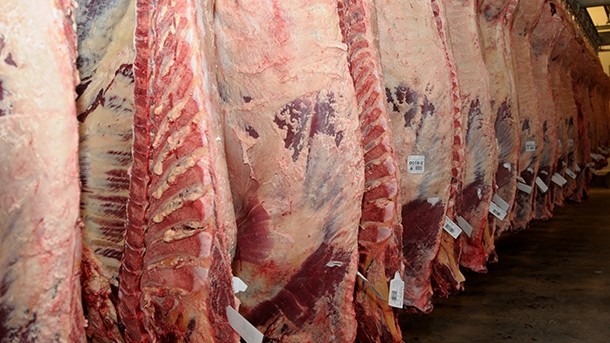 Rampant mislabelling of beef in Korea