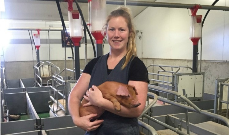 Dr Alice Weaver said the scheme gives her job security in the pork industry 