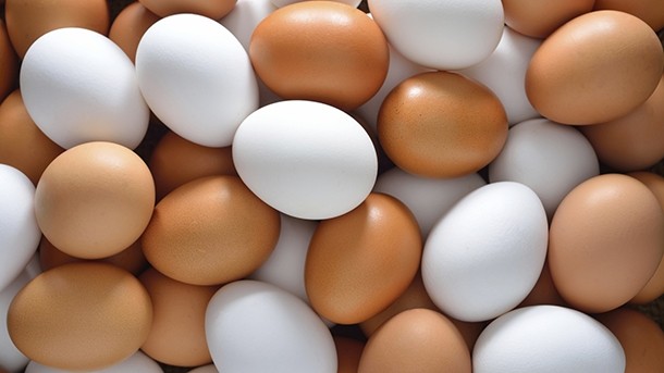 Not so free: Australian watchdog takes egg producers to court
