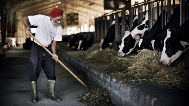Infrastructure needs to keep up with India’s dairy production gains