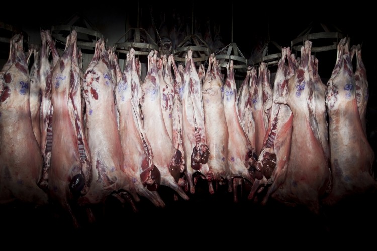 New technology investment will allow for accurate measuring of animal carcasses