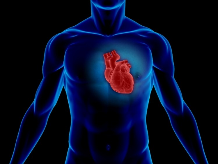 Chlorella supplements show cardiovascular benefits: Human data